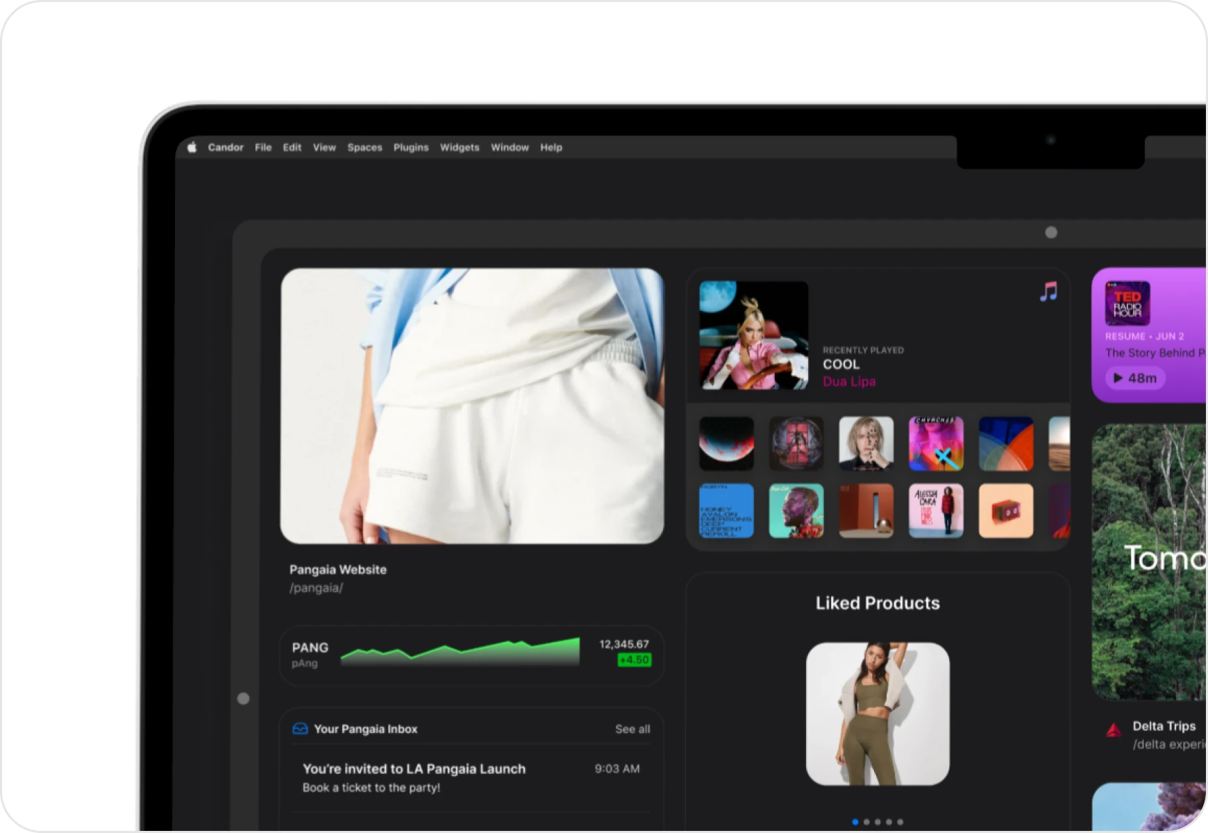 Candor, a dark browser window open on a store, with an inbox and liked products