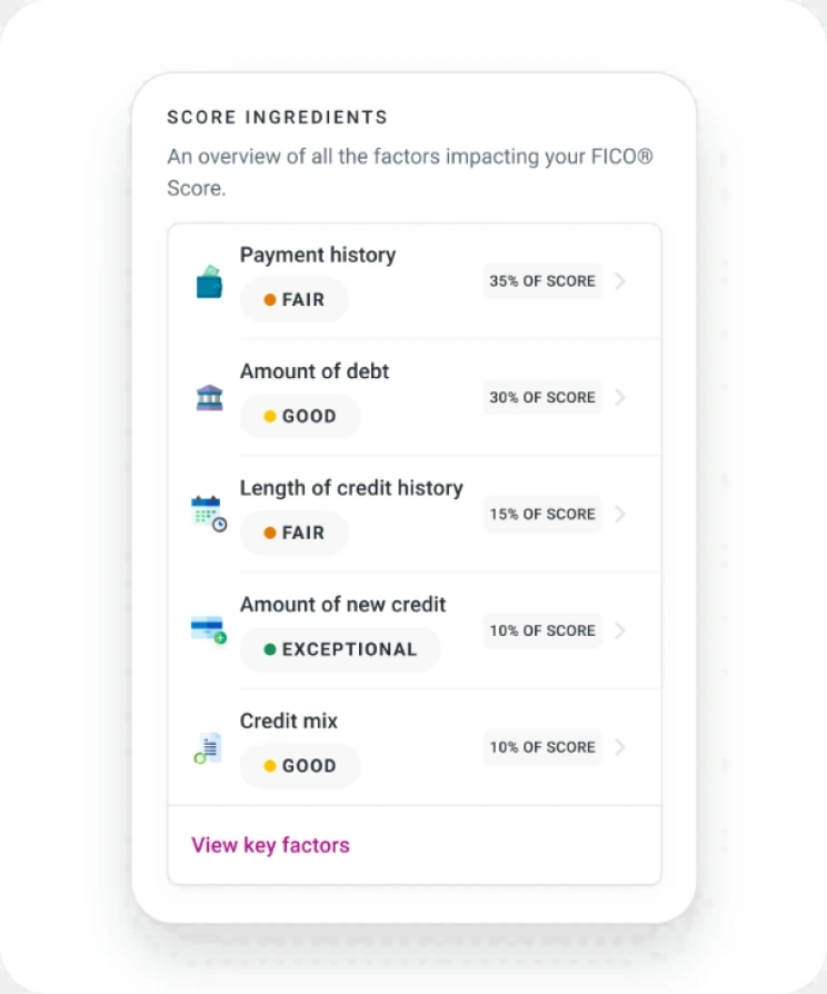 Score ingredients: payment history, amount of debt, length of credit history, new credit and credit mix, each rated and weighted