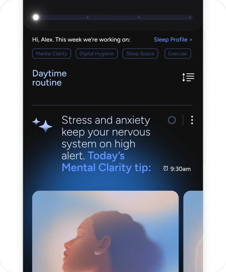 The earlier plan screen: a dense daytime routine of tips, tasks and cards