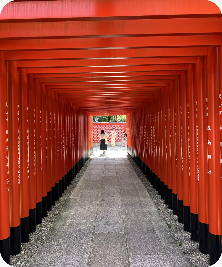 A tunnel of red torii gates at Fushimi Inari