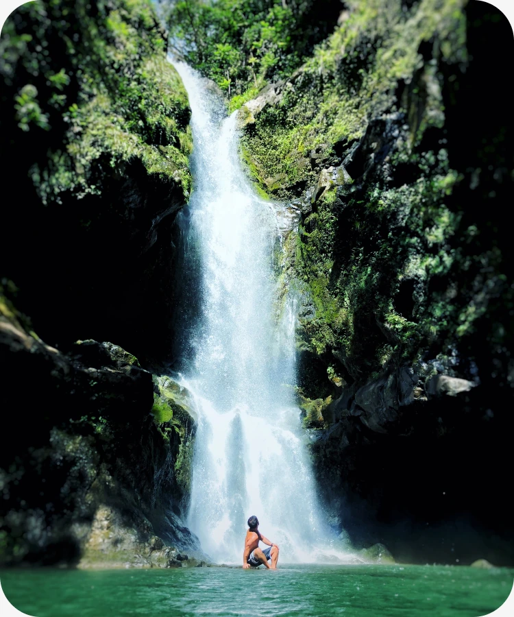 A waterfall pouring into a green pool, with a swimmer below